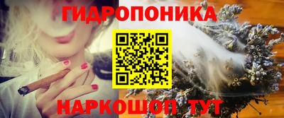 хмурый Краснодар